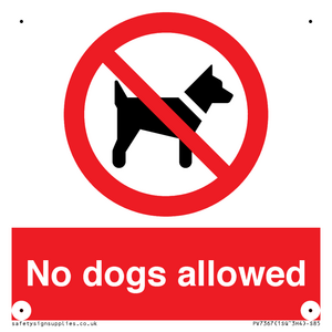 No dogs allowed